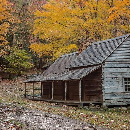 Romantic Mtn Cabin Hot Tub & Jacuzzi Views Сев'єрвілл Екстер'єр фото